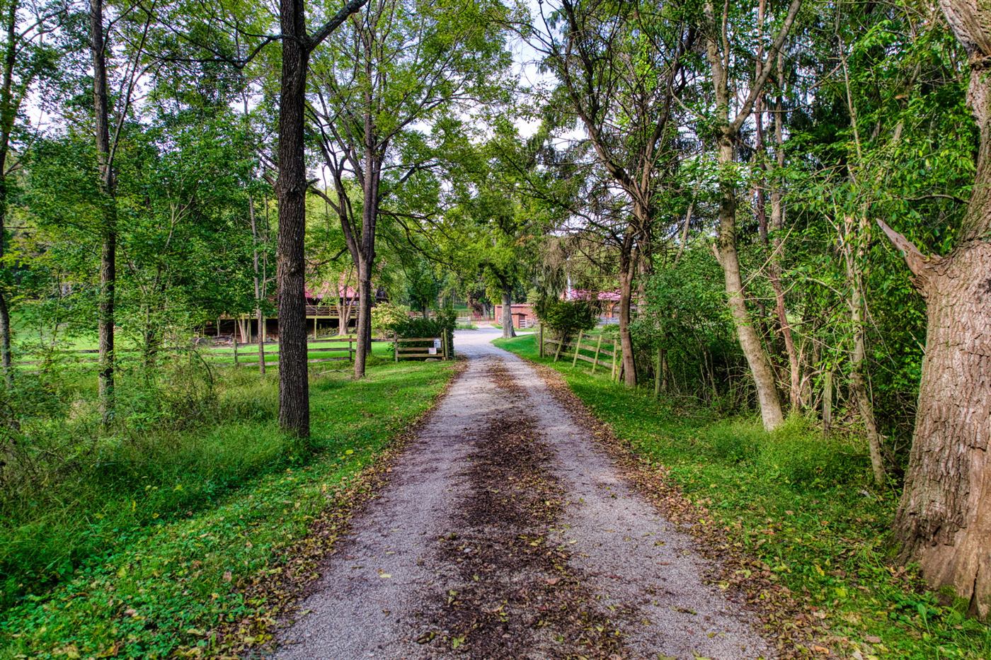 Gravel lane lined with trees