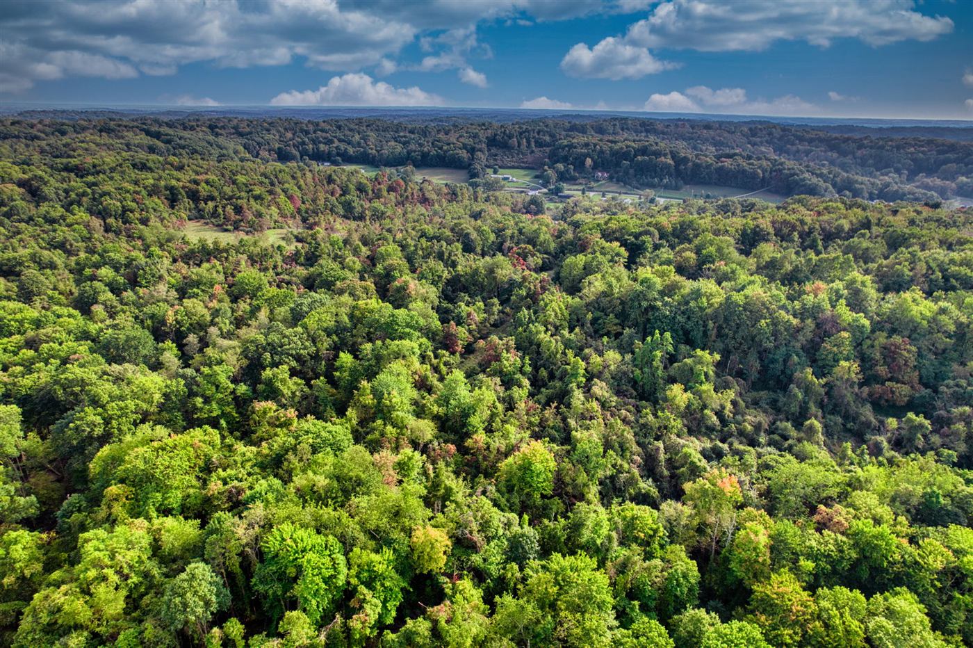 Aerial view of the wooded acreage